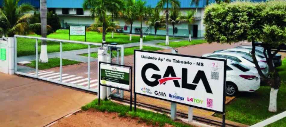 Quem Distribui Show do Milhão?