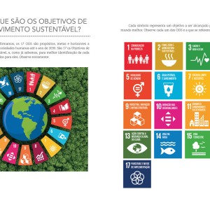 Cartografia Pedagógica - Os 17 Ods - Pilares De Um Mundo Melhor-9786526111901-53538