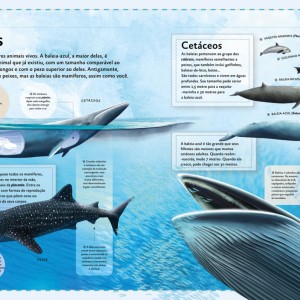 O Magnífico Livro Das Baleias-9786526114865-11183