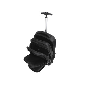 Miniatura 29