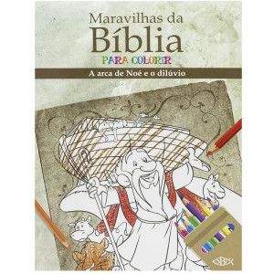 Livro Infantil Colorir Maravilhas Da Biblia 16pg 8tit