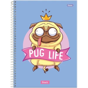 Caderno 10x1 Capa Dura Ever 160f