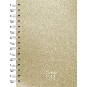 Agenda 2026 Star Esp Cd 140x200 160fls. Ouro