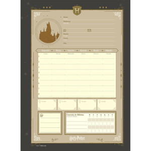Caderno 01x1 Capa Dura Harry Potter Neo 80fls-124461-23361