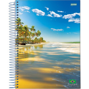 Caderno 01x1 Flexivel Brasilidade 96fls.-124517-96829