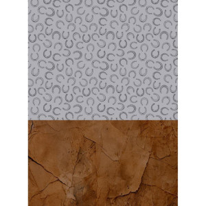 Caderno 10x1 Capa Dura Rodeio 160fls.-124514-64527