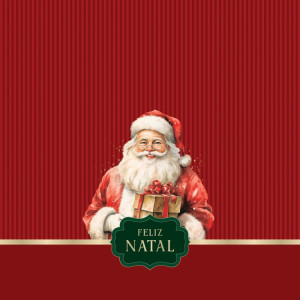 Saco Metalizado 30x45cm Natal Tempo De Celebrar Vm 30x