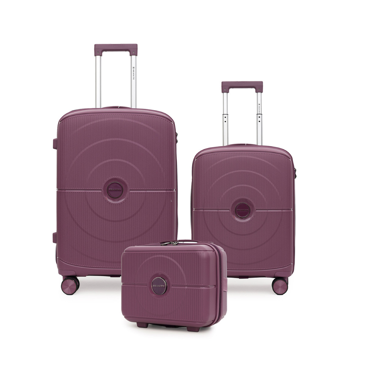 Kit De Malas De Viagem 3 Peças Seanite 20" 24" E Frasqueira 14" Polipropileno – Cor Roxo