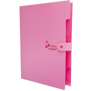 Pasta Sanfonada Plastica A4 5 Divisoes Cereja-124582-96140