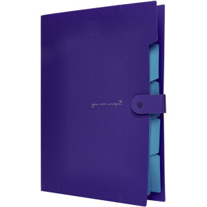 Pasta Sanfonada Plastica A4 5 Divisoes Lilas Neon