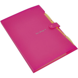 Pasta Sanfonada Plastica A4 5 Divisoes Rosa Neon-125915-83251