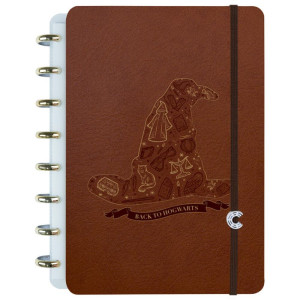 Caderno Inteligente A5 Harry Potter Quadribol 80fls-124962-47850