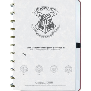 Caderno Inteligente Grande Harry Potter Quadribol 80fls-124963-41611
