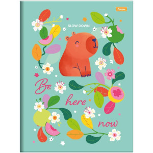Caderno Brochurao Capa Dura Amazzu 80fls