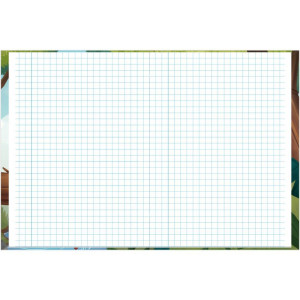 Caderno Quadriculado Univers. Aventurinos Aritmetrica Cost.-126248-93388