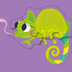 Conhecendo Os Animais Da Floresta-9786526115442-25775