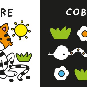Meus Primeiros Animais-9786526121610-27482