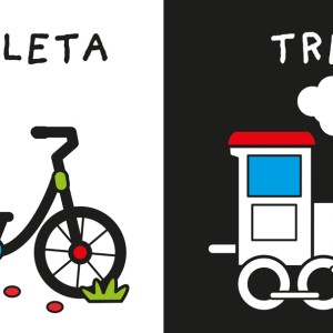 Meus Primeiros Veículos-9786526121566-98719