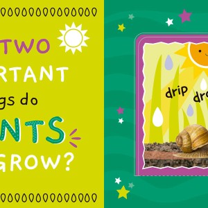 My First Fact Nature-9786552940346-61344