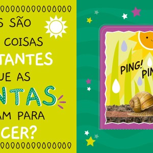 Primeiros Conhecimentos - Natureza-9786526121641-33397