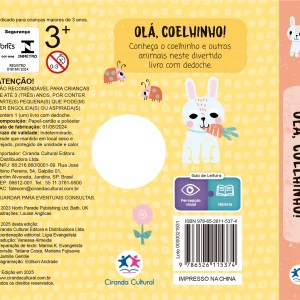 Olá, Coelhinho!-9786526115374-11343