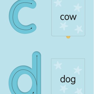Abcs Activity - Flashcards-9786583398451-13185