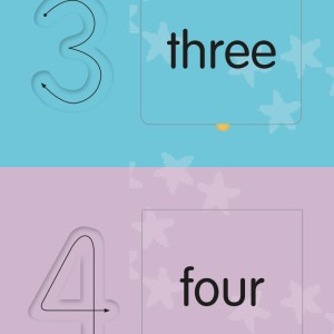 Counting Activity - Flashcards-9786583398468-63765