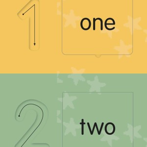 Counting Activity - Flashcards-9786583398468-66275