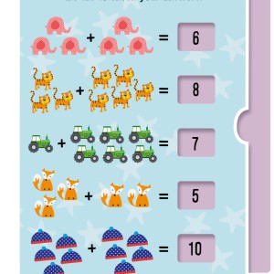 Simple Sums Activity - Flashcards-9786583398420-21828