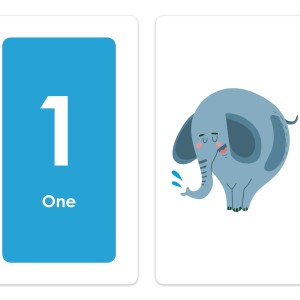 Flash Cards: Numbers 0 To 100-9786526122754-76242