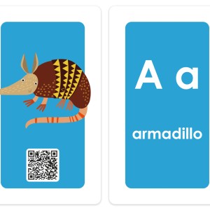 Flash Cards: Alphabet Fun-9786526122938-35698