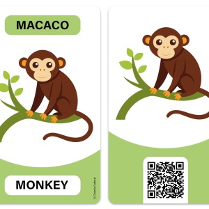 Flash Cards Cartas Bilíngues - Animais - Animals-9786526121856-71770
