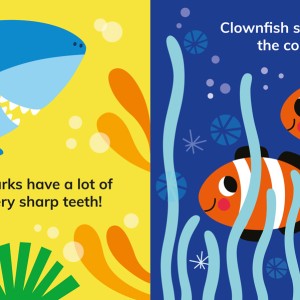 My First Ocean Animals-9786552942104-95910