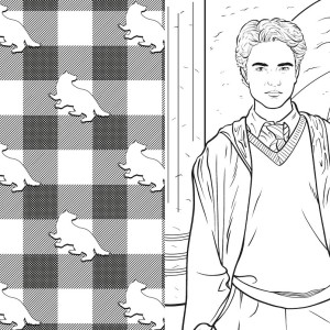 Harry Potter Casas De Hogwarts - Lufa-lufa-9786526123997-82705