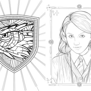 Harry Potter Casas De Hogwarts - Corvinal-9786526123973-62302