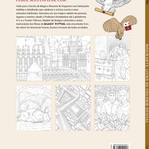 Harry Potter Casas De Hogwart-9786526124017-77419