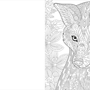 Vida Selvagem-9786526122433-45643