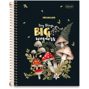Caderno 10x1 Capa Dura Dreamland 160fls