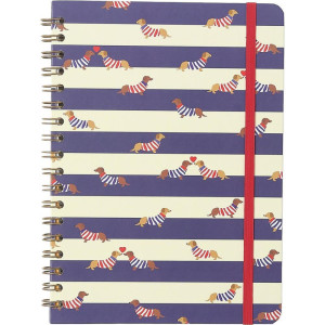 Caderno 01x1 Cp.dura Colegial Praia Cachorros 80f