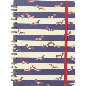 Caderno 01x1 Cp.dura Colegial Praia Cachorros 80f