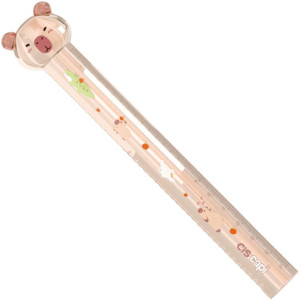 Regua Plastica Cis Capi 15cm Blister