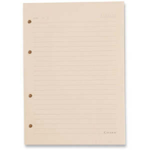 Caderno Criativo Refil Pautado 40f 80g 160x220-125616-83688