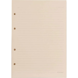 Caderno Criativo Refil Pautado 40f 80g 170x240-125615-21658