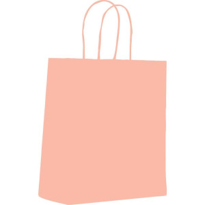 Sacola Para Presente Lisa Rosa Bebe M 22,5x31,5x10cm