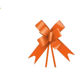 Laco Pronto Liso 30x50cm Laranja