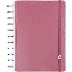 Caderno Inteligente Grande Guava 10 Materias 140fls 90g-127719-58234