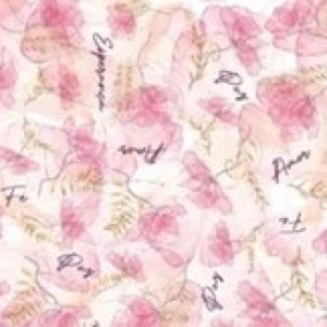 Gl Saq. P/ Pres. 30x45 Perola - 50un - 363 Aquarela - Unica