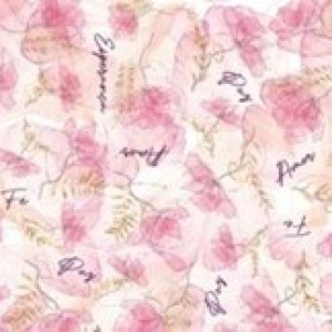 Gl Saq. P/ Pres. 58x89 Perola - 25un - 363 Aquarela