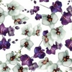 Gl Saq. P/ Pres. 30x45 Perola - 50un - 362 Orquidea