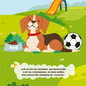 Conhecendo Os Pets-9786526116678-94593